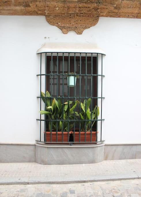 Fancy Apartment In A Historic House, Chiclana City Center By C. Dreams チクラナ・デ・ラ・フロンテーラ エクステリア 写真