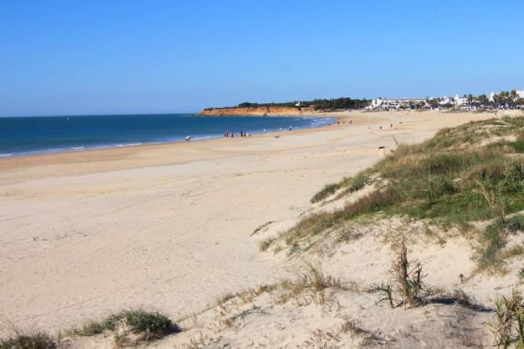 Fancy Apartment In A Historic House, Chiclana City Center By C. Dreams チクラナ・デ・ラ・フロンテーラ エクステリア 写真